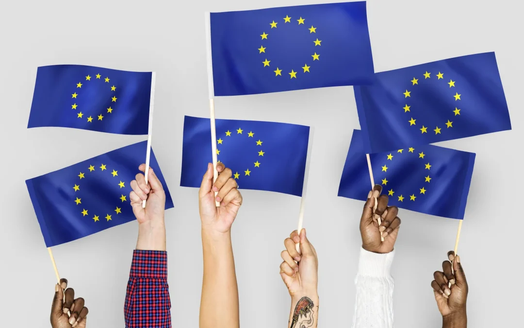 Număr mare de înscrieri pentru programul Youth Ambassadors!